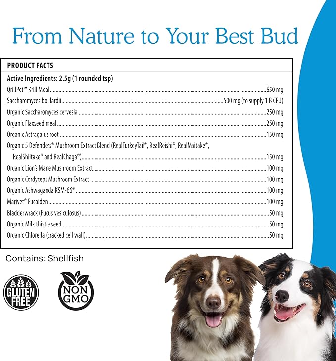 Daily Dawg Mushroom Extract Powder Support - (2.65 oz) Bulk Mushroom Powder Supplement & Dog Vitamins with Real Mushrooms Lion's Mane, Cordyceps Mushroom, Turkey Tail, Reishi & Shiitake