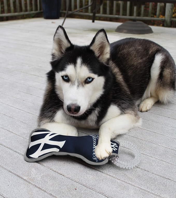 MLB New York Yankees Bone Shaped Dental Dog TUG Toy with Squeaker. Tough PET Toy for Healthy Fun, Teething, and Cleaning pet's Teeth and Gum.