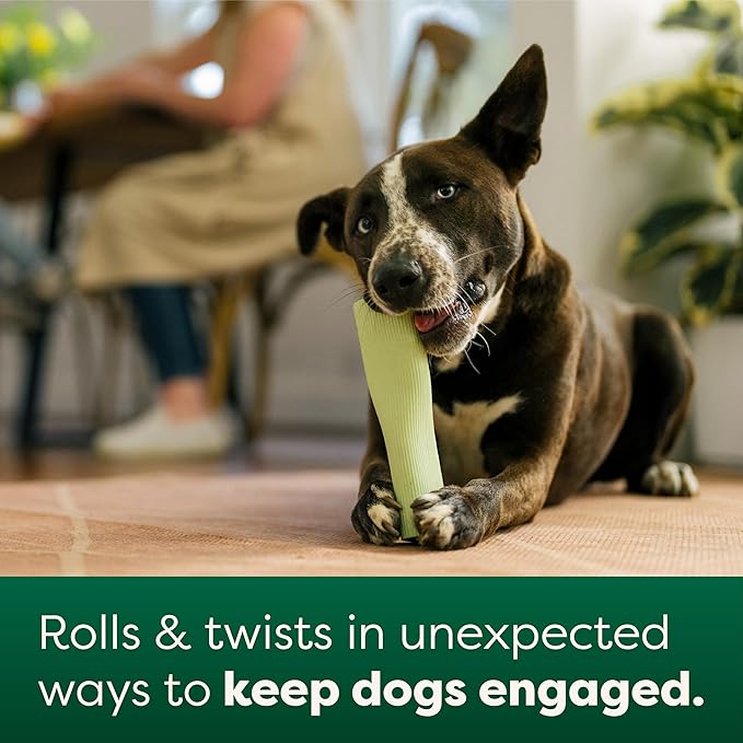 Earth Rated Dog Toy, Enrichment Toy for Adult and Puppy Dogs, Dishwasher and Freezer-Safe, Natural Rubber, Small, Green