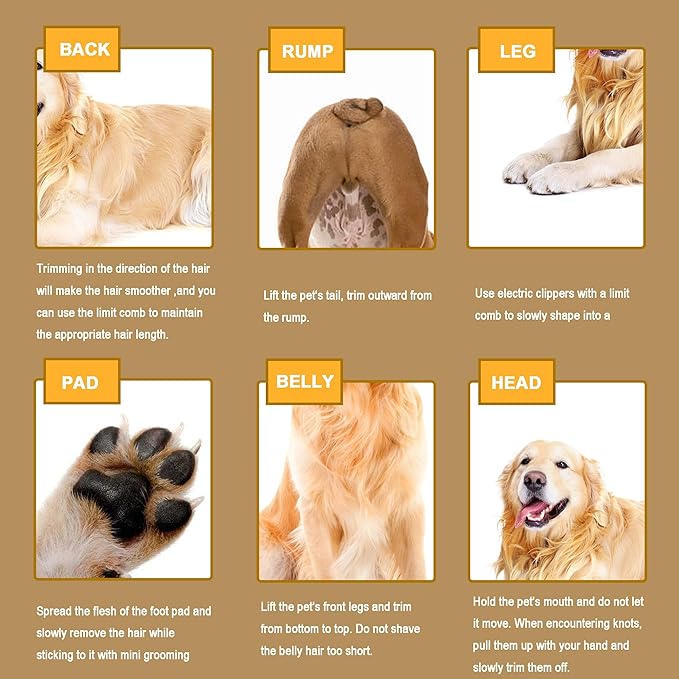 2 in 1 Pet Paw Hair Trimmer Electric Multi Dog Hair Clippers for Thick Coat Cordless Grooming Tool Kid Hair Clipper for Child Rechargeable for Medium and Large Dogs and Cats Face Ear Rump