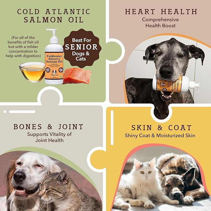 Natural Dog Company Coldwater Atlantic Salmon Oil for Dogs (16oz) - Senior Dog Fish Oil Supplement with Omega 3, Easy to digest for Senior Dog Fish Oil, Liquid Dog fish oil Joint Support Supplement