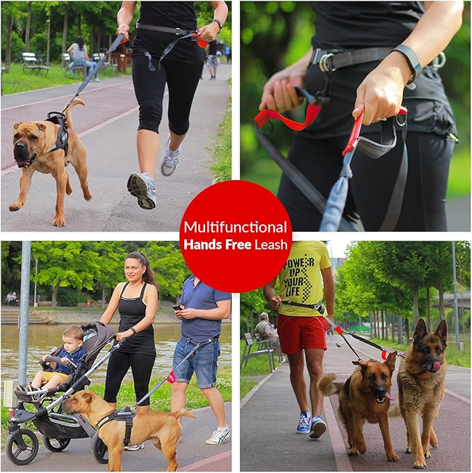 Hands Free Bungee Leash + Dual Dog Leash Coupler Kit Multifunctional + Retractable Traffic Jogging Hiking Leash & Reflective Pet Leash • Adjustable Body System + Padded Handles • Take Yankee