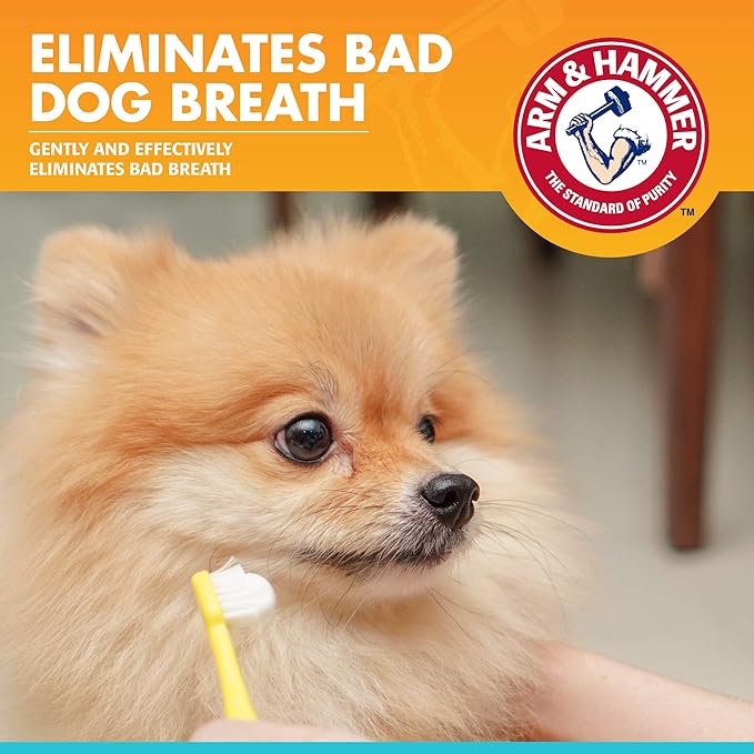 Arm & Hammer for Pets Dental Enzymatic Toothpaste for Dogs | No More Doggie Breath | Dog Toothpaste Safe for All Dogs and Puppies, Advanced Care, Chicken Flavor 2.5 Ounce (Pack of 1)