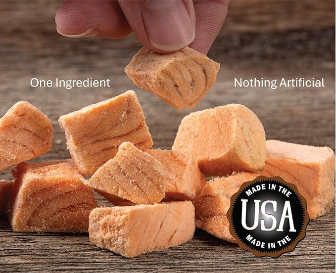 Whole Life Pet Just One Salmon - Dog Treat Or Topper - Human Grade, Freeze Dried, One Ingredient - Protein Rich, Grain Free, Made in The USA