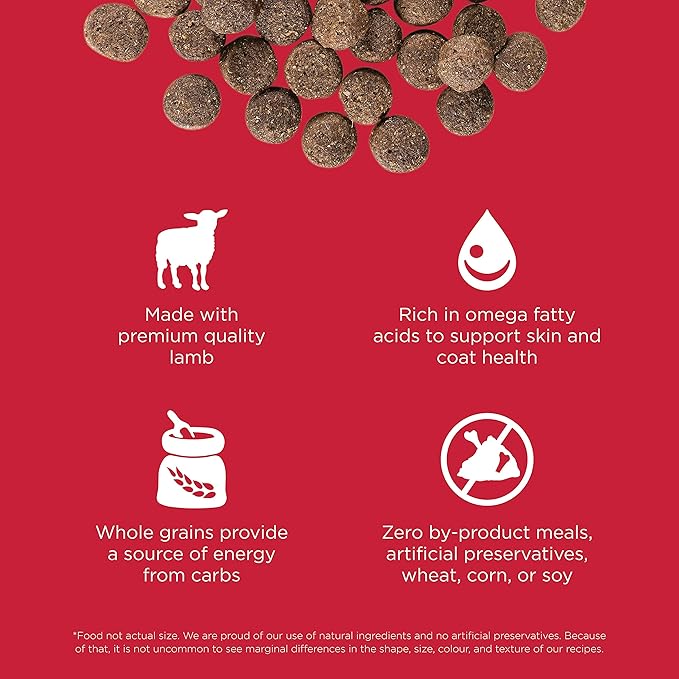GO! SOLUTIONS Skin + Coat Care - Dry Dog Food, 12 lb - Lamb Recipe with Grains for All Life Stages - Complete + Balanced Nutrition for Dogs