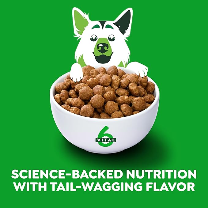 Greenies Smart Essentials Adult Large Breed High Protein Dry Dog Food Real Chicken & Rice Recipe, 15 lb. Bag