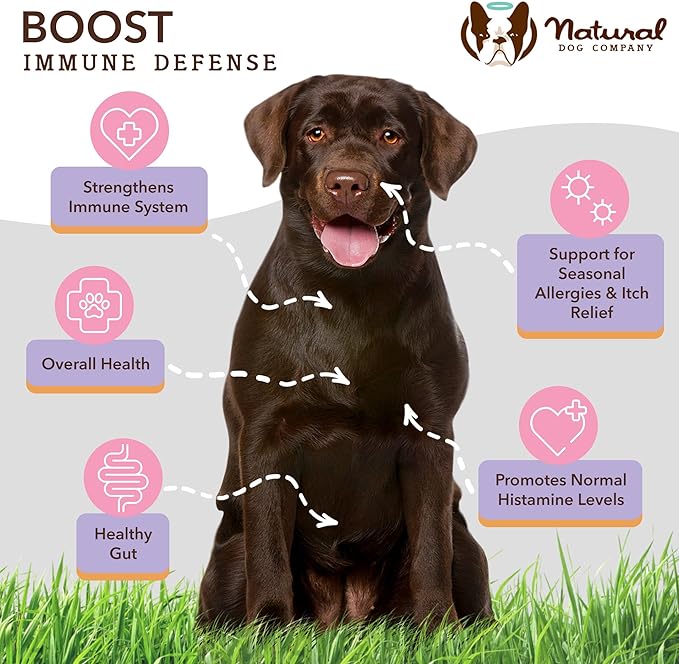 Natural Dog Company Aller-Immune Chews (90 Pieces), Turkey Flavor, with Canine-Specific Probiotics, Allergy Immune Supplement for Dogs of All Ages, Sizes & Breeds, Boosts Immune System, Antioxidant