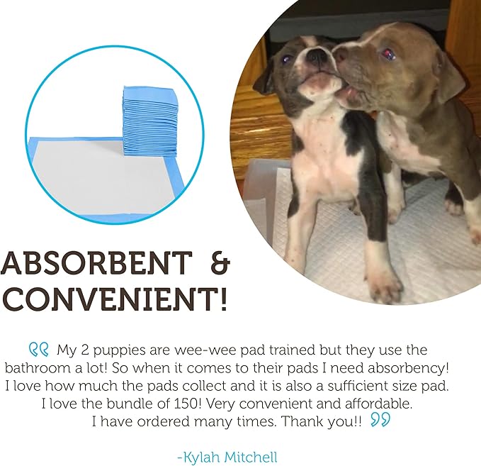 Paws & Pals Leak-Proof Potty Training Pee Pads for Dogs and Puppies, Large - 22x22 Disposable, 150 Count