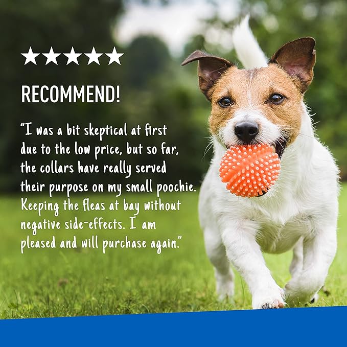 Adams Plus Flea & Tick Collar for Dogs, 7-Month Protection, Adjustable Collar Fits Small Dogs & Puppies, Kills & Repels Fleas, Flea Eggs, Flea Larvae, and Ticks, Kills Tick Larvae and Tick Nymphs