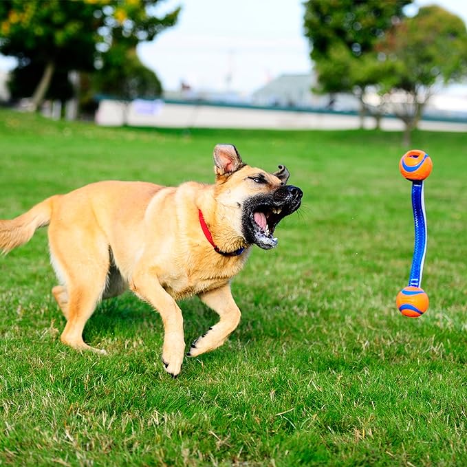 Chuckit Ultra Duo Tug Dog Toy, Medium Indoor and Outdoor Dog Ball for Dogs 20-60 Pounds