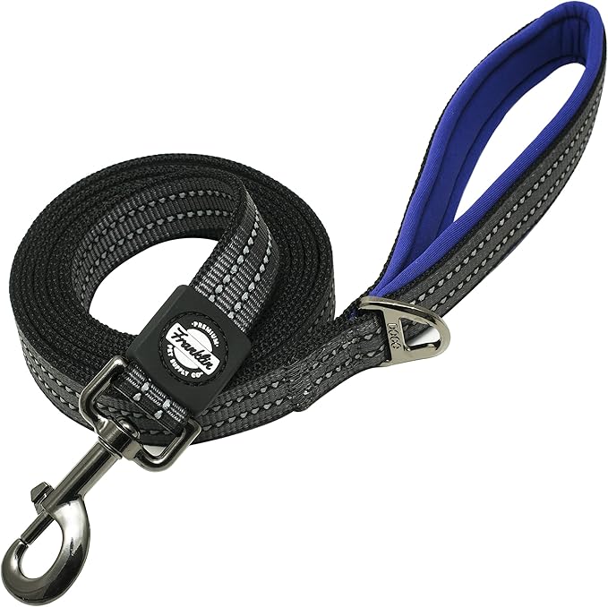 Franklin Pet Supply Nylon Dog Leash – Reflective – Comfort Fit – Neoprene Handle – 6 Foot – Dog Training – Walking – Purple