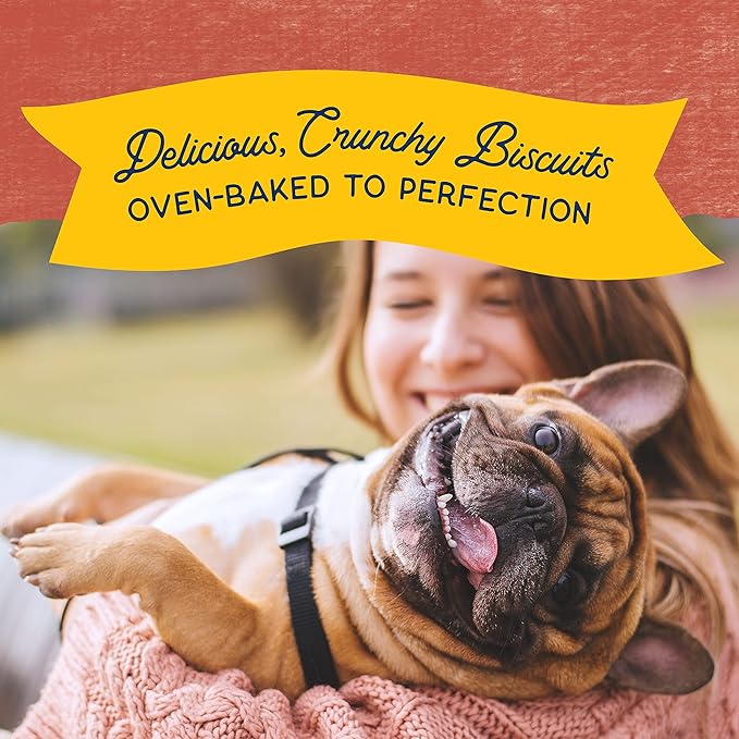 Natural Balance Limited Ingredient Rewards Crunchy Biscuits, Grain-Free Dog Treats for Adult Dogs of All Breeds, Salmon & Sweet Potato Recipe, 28 Ounce (Pack of 1)