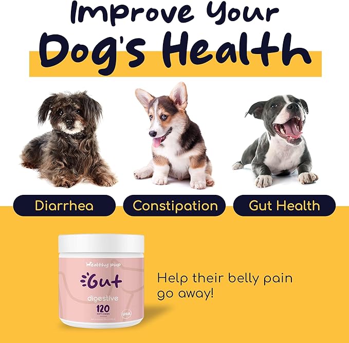 Dog Probiotics and Digestive Enzymes, 120 Delicious Chew Treats for Gut Health, Diarrhea, and Constipation - Hydrolyzes Nutrients for Better Absorption