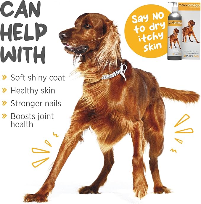 maxxiomega Oil for Dogs - Tasty Omega Supplement for Healthy Skin and Shiny Coat – Easy to Use Pump – Liquid 10 oz