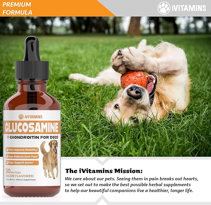 Glucosamine for Dogs | Supports Healthy Hips, Joints, & More | Glucosamine for Dogs Hip and Joint Supplement | Dog Glucosamine | Dog Joint Supplement | Glucosamine Chondroitin for Dogs | 1 fl oz