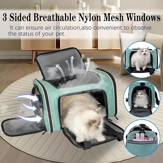 Dog Cat Carrier Pet Carriers for Small Medium Large Cats Dogs Carrier Soft Sided Small Puppy Dog Carrier Portable Foldable Airline Approved Dog Cat Travel Carrier Green Large