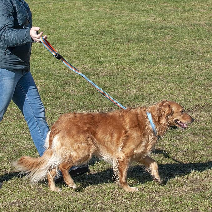 Furhaven Bungee Dog Leash w/ Quick Release Easy Tether - Sea Breeze Stripe, One Size