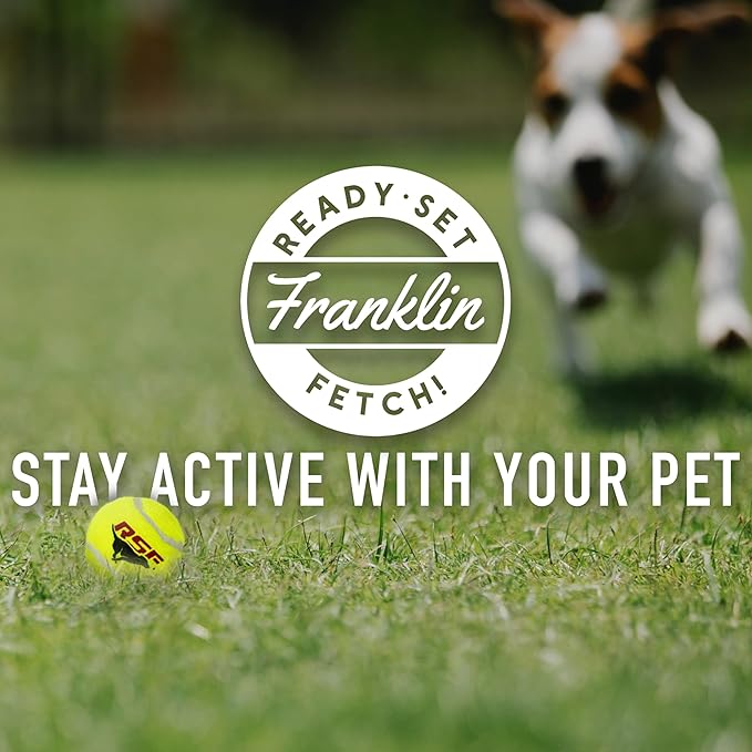 Franklin Pet Supply Ready Set Fetch Mini Automatic Tennis Ball Launcher Dog Toy - Electronic Mini Tennis Ball Thrower for Fetch + Playtime - Launches up to 40 Feet - Interactive Dog Fetch Toy - Mini