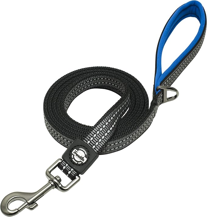 Franklin Pet Supply Nylon Dog Leash – Reflective – Comfort Fit – Neoprene Handle – 6 Foot – Dog Training – Walking – Blue
