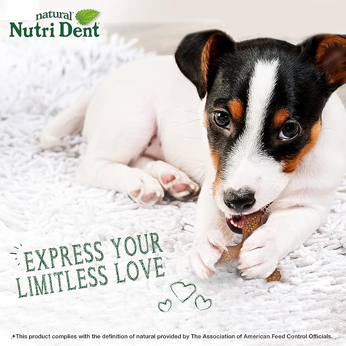 Nylabone Nutri Dent Dog Dental Chews - Natural Dog Teeth Cleaning & Breath Freshener - Dental Treats for Dogs - Filet Mignon Flavor, Small (1 Count)