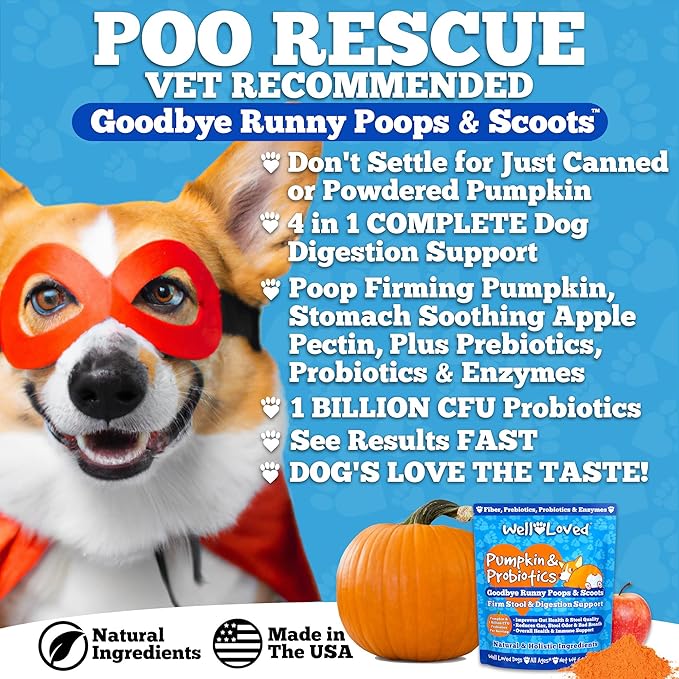 Pumpkin for Dogs - Pumpkin Puree, Canned Pumpkin (Alternative), Fiber for Dogs, Probiotic Powder, Pumpkin Powder, Dog Diarrhea, Digestive Support, Perfect for Firm Poops and No Scoots, 6 oz