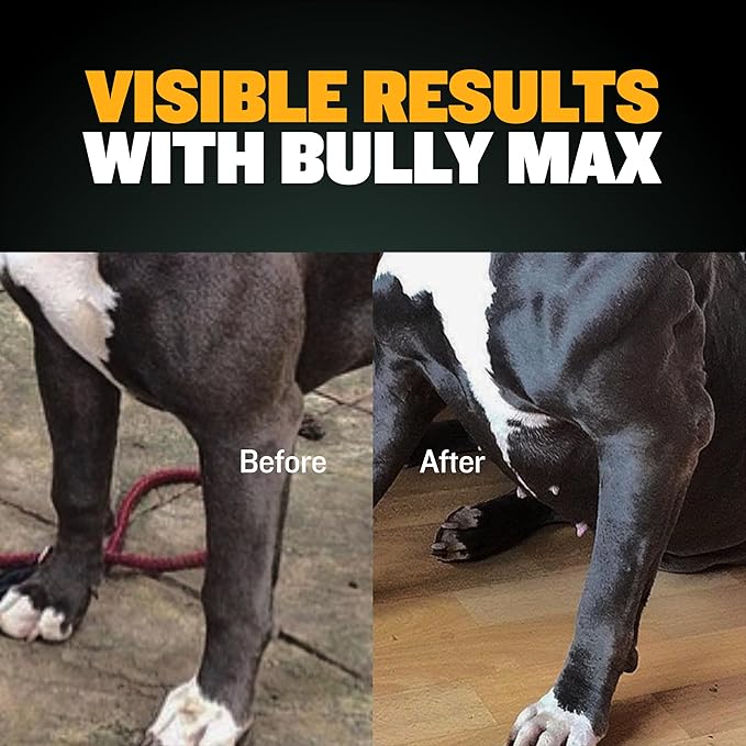 Bully Max Muscle Builder Soft Chews for Dogs and Puppies - Training Supplements Chews for Puppy and Adult Dog - Dog Food Treats for Muscle Gain - All Dog Breeds & Ages, 75 Delicious Soft Chews