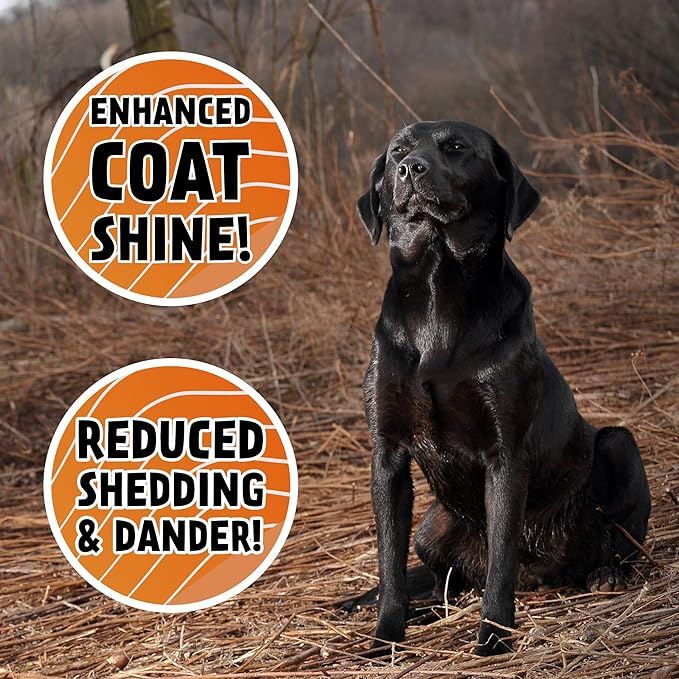DogBone Wild Alaskan Fish Oil for Dogs 32 oz | Salmon Oil for Dogs | Dog Fish Oil | Omega 3 for Dogs | Dog Joint Supplement | Dogs Vitamins and Supplements | Salmon Oil for Dogs Skin and Coat