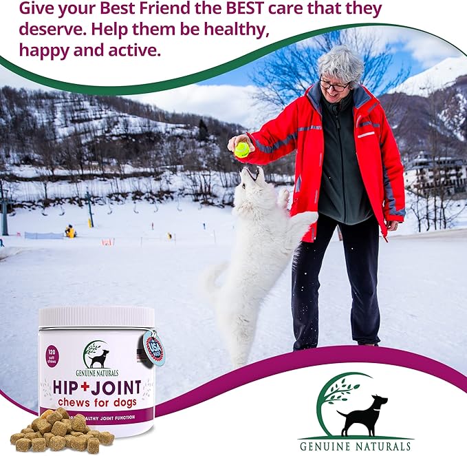 Hip and Joint Supplement for Dogs - Glucosamine Chondroitin, MSM, Organic Turmeric Soft Chews, Dog Vitamins, Supports Healthy Joint Function and Helps with Pain Relief,120 Count