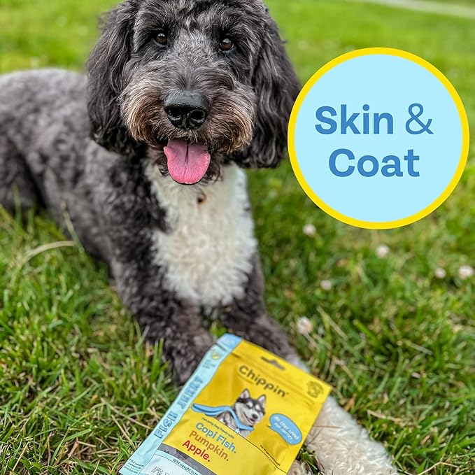 Fish, Pumpkin, Apple Grain-Free Dog Treats (5oz, 1-Pack) | USA Wild-Caught Human Grade Fish | Hypoallergenic, Chicken-Free | Best Training Treats | Puppies & Senior Dogs | Low Fat Dog Treats