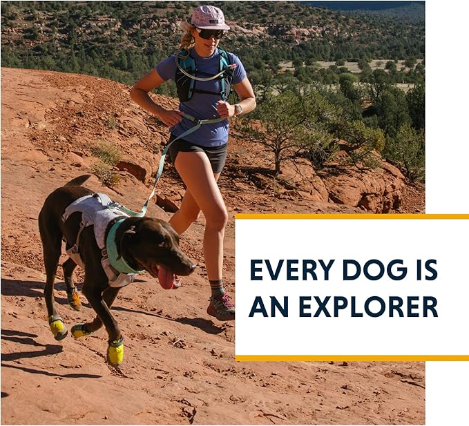 Ruffwear, Swamp Cooler Dog Harness, Lightweight with Evaporative Cooling for Hot Weather, Sage Green, XX-Small