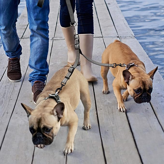 Kurgo Double Dog Leash Extender, Two Dog Lead, Dual Leashes for Dogs, Leash Coupler, Adjustable, Reflective, Tangle-Free, Coastal Blue