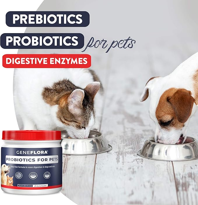 Digestive Enzymes and Probiotic for Pets (Dogs, Cats, Rabbits and More, 125 mg, 120 servings) by Geneflora for Pets Pack of 2