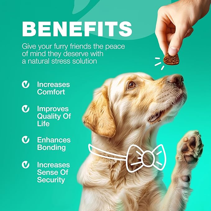 Probiotics for Dogs - Coprophagia Deterrent for Dogs - Deterrent for Dogs Eating Poop - Dog Probiotics Treats - Probiotic Chews for Dogs - Dog Probiotic & Digestive Enzymes - Gut Health, Itchy Skin