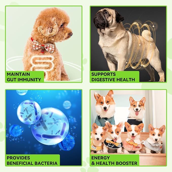 Probiotics for Dogs,3-in-1 Dog Probiotics,Dog Probiotics for Digestive Support, Dog Probiotic Supplements,Pet Probiotics for Dogs, Liquid Probiotics for Dogs | 2 Oz