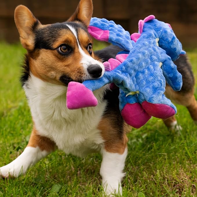 goDog Bubble Plush Dragons Squeaky Dog Toy, Chew Guard Technology - Periwinkle, Large