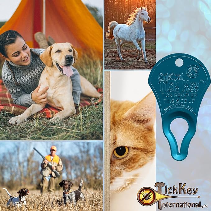 The Original Tick Key -Tick Removal Device - Portable, Safe and Highly Effective Tick Removal Tool - 3 Pack (USA)