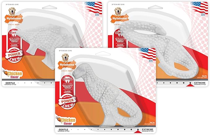Nylabone Power Chew Dental Chew Toy Durable Dinosaur Dog Toy, Chicken Flavor, Large/Giant (1 Count)