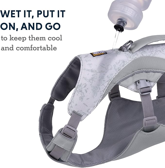 Ruffwear, Swamp Cooler Dog Harness, Lightweight with Evaporative Cooling for Hot Weather, Graphite Gray, Large/X-Large