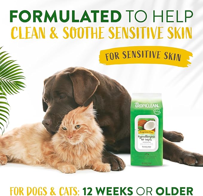 TropiClean Hypoallergenic Dog Wipes for Paws and Butt | Fragrance Free Dog Grooming Wipes | Safe for The Face | Puppy & Cat Friendly | 100 Count