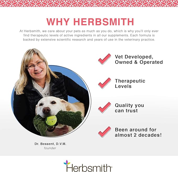 Herbsmith Senior Dog Wisdom – Dog Dementia Supplement – DHA for Senior Dog Brain Health - Senior Supplement for Dogs- 500g