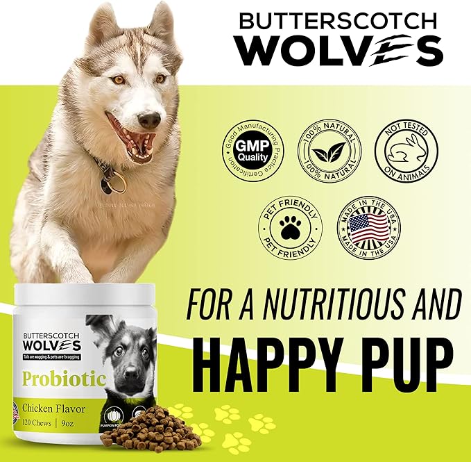 Probiotics for Dogs Supplement | Digestive and Immune Health Support Dog Vitamins with Probiotic Blend and Pumkin Powder | Approximately 120 Probiotic Chews for Dogs
