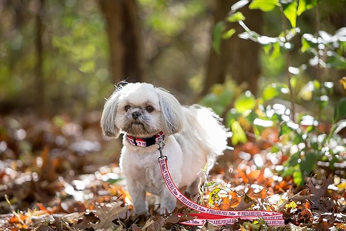 MLB PHILADELPHIA PHILLIES Dog Leash, Large