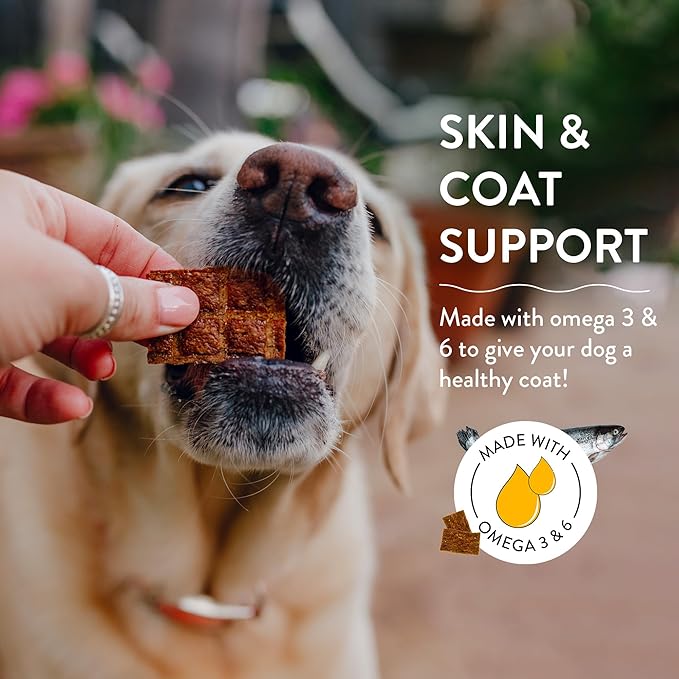 Shameless Pets Jerky Dog Treats, Salmon Loves Butternut - Healthy Dog Chews for Dogs Skin & Coat with Omega 3 & 6 - Dog Treats with Real Wild-Caught Salmon - Free from Grain, Corn & Soy - 1-Pack