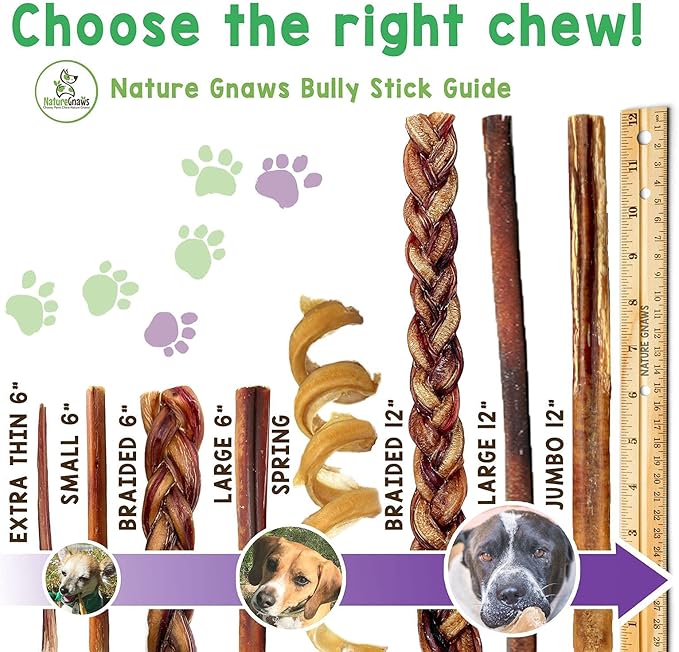 Nature Gnaws Bully Sticks for Large Dogs - Premium Natural Beef Dental Bones - Thick Long Lasting Dog Chew Treats for Aggressive Chewers - Rawhide Free - 6 Inch (3 Count)