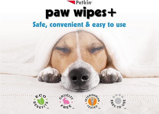 Petkin Paw Wipes Plus, 200 Orange Scented Wipes, 2 Pack - Absorbent Pet Paw Wipes Remove Daily Dirt & Odors - Enriched with Paw Balm Protectant -Easy to Use Pet Wipes for Dogs, Cats, Puppies & Kittens