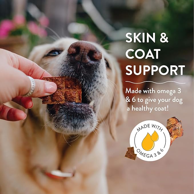 Shameless Pets Jerky Dog Treats, Berry Had A Little Lamb - Healthy Dog Chews for Skin & Coat Support with Omega 3 and 6 - with Real Premium Lamb and Cranberries - Free from Corn & Soy - 1-Pack