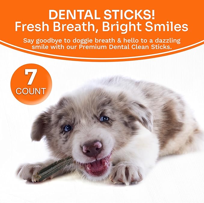Dental Clean Sticks