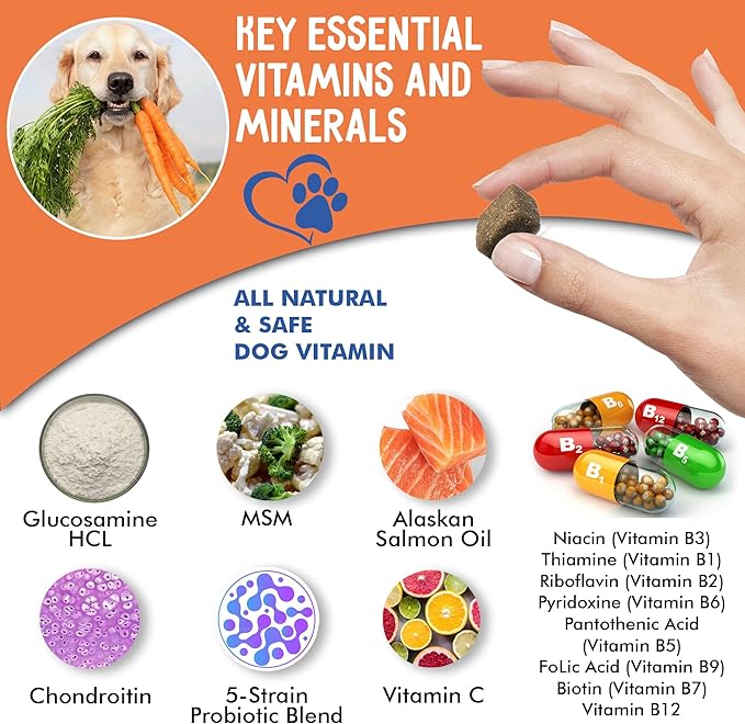 12-in-1 Dog Vitamins & Probiotics 120 Soft Chews - Organic Multivitamin with Glucosamine for Dogs - Joint Support Supplement for Dogs of All Ages,Sizes, & Breeds,Supports Skin,Heart,Immunity