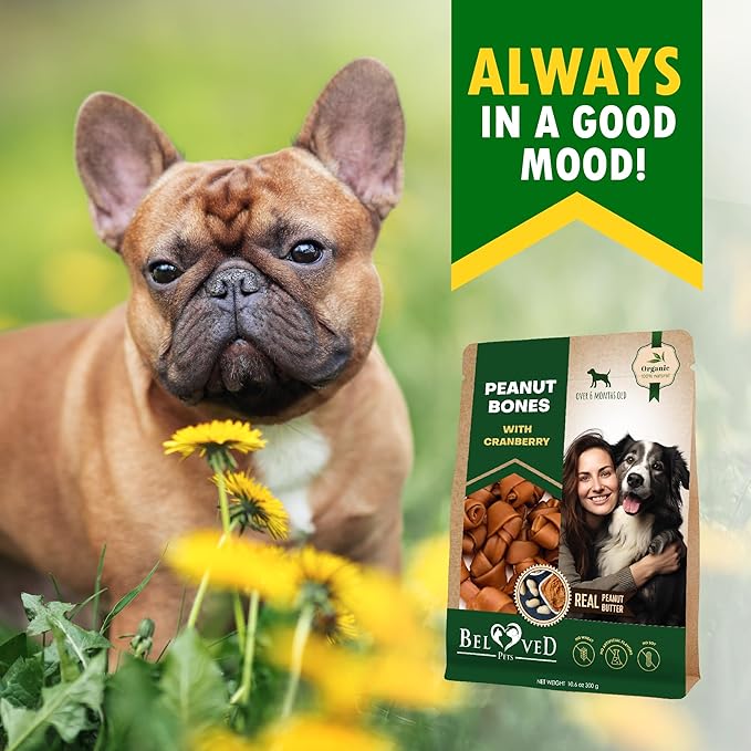 Dog Peanut Butter Bones with Cranberry & Rawhide Free Chew Treats - Pet Natural Mini & Big Snacks Healthy Collagen & Bulk Best Chews for Small & Large Dogs - Made for USA (Peanut Butter)