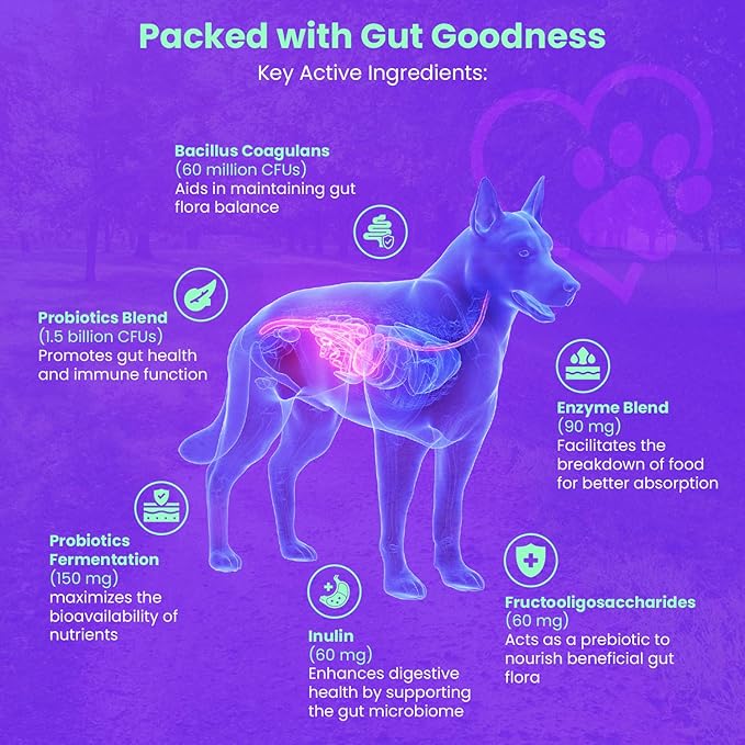 FREYDELL Pets Probiotics for Dogs Dog Upset Stomach Relief Dog probiotic, Fiber Supplement for Dogs, Yeast Infection Treatment for Dogs & Dog Diarrhea Medication, Probiotic for Dogs of All Ages.